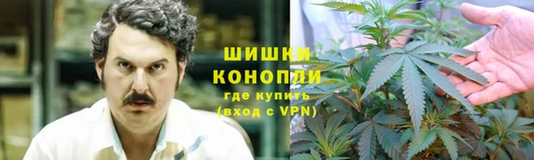 ПСИЛОЦИБИНОВЫЕ ГРИБЫ Нязепетровск