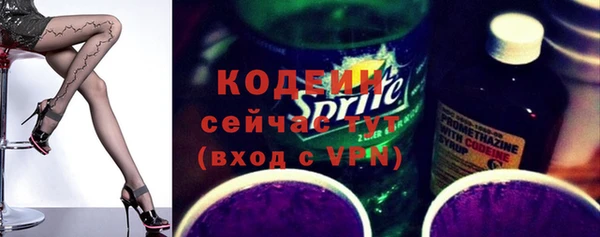 стаф Няндома