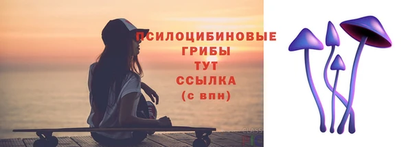 ПСИЛОЦИБИНОВЫЕ ГРИБЫ Нязепетровск