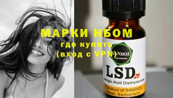 стаф Няндома
