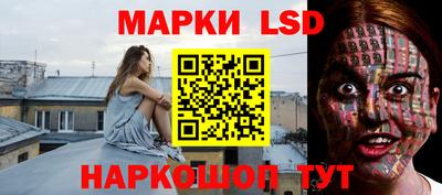 ALPHA PVP Камышлов