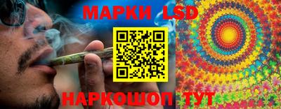 ALPHA PVP Камышлов