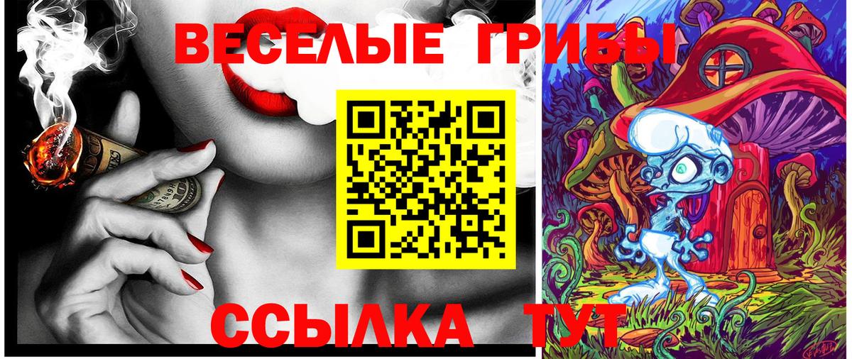 Псилоцибиновые грибы Cubensis Армавир